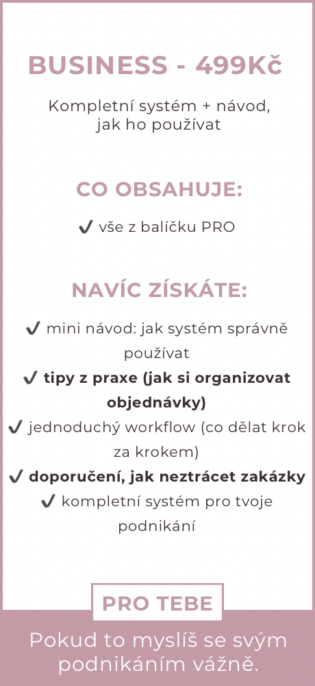 BANNER 3x malý (460 x 700 px) - Banner9 BUSSINESS  se